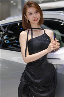 广州国际车展车模篇3A3423[2.54G]