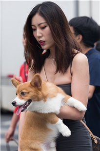 包屯裙美女3A2698[893M]