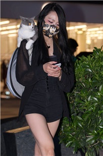 你看猫～我看腿3A4892[2.97G]