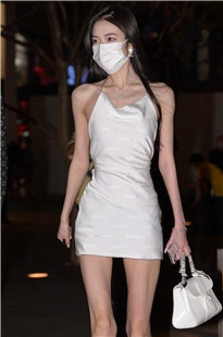 美腿高跟美女3A8065[2.4G]