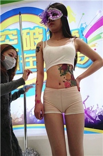 21世纪车展之魅－彩绘单人下集[689M/AVI]